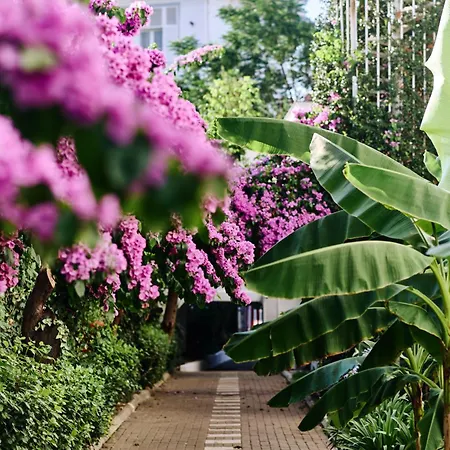 酒店 Bueyuekada Splendid Palace